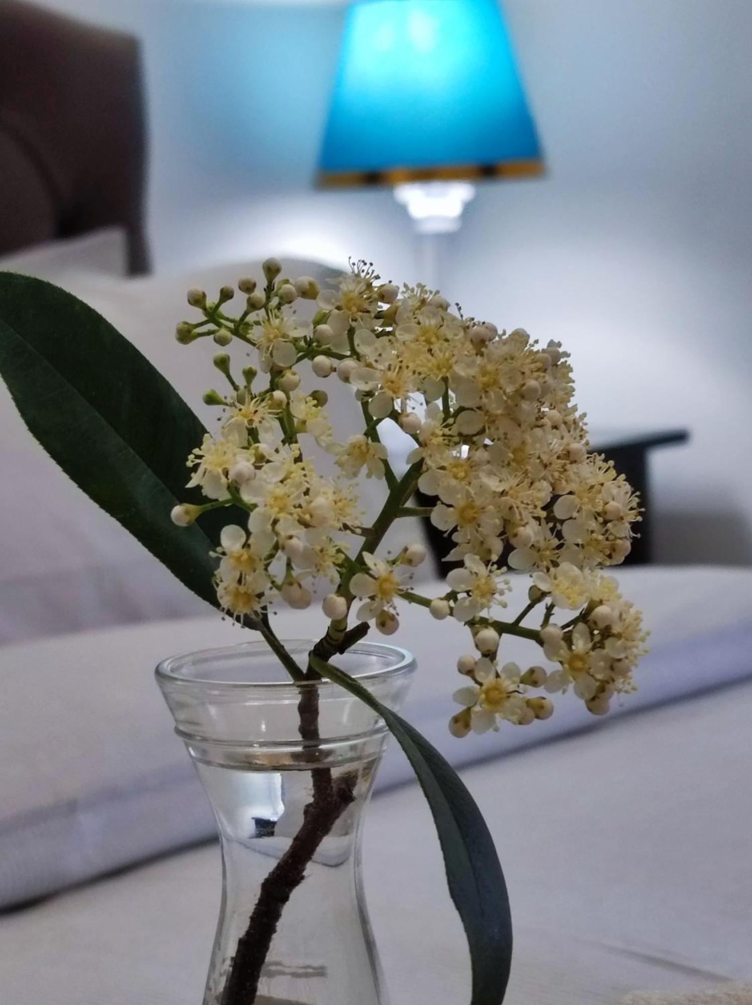 Consoli Home Roma Ngoại thất bức ảnh